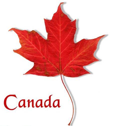 加拿大留学大签证和小签证的区别