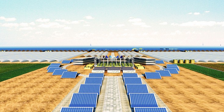 圣基茨将建太阳能农场
