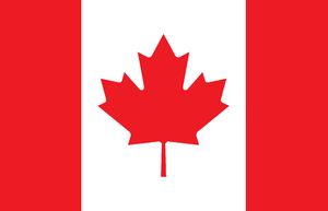 加拿大入籍被拒三大“死因” 英语差欠备试无诚意
