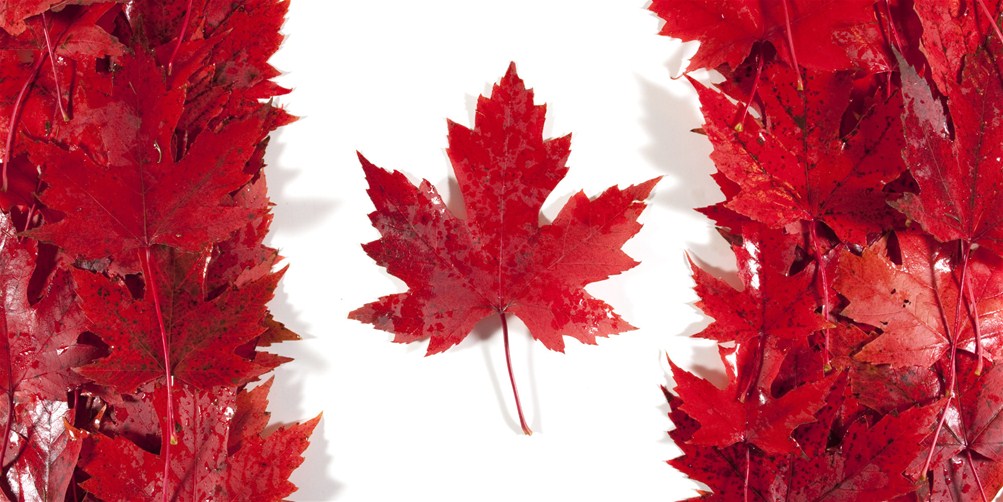 子女在加拿大有合法身份 为什么探亲签证还是被拒签？